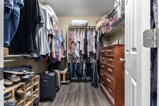 1147 N Marvin St, Gilbert, AZ 85233 - walk in closet featuring wood finished floors
