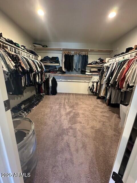 spacious closet with carpet flooring