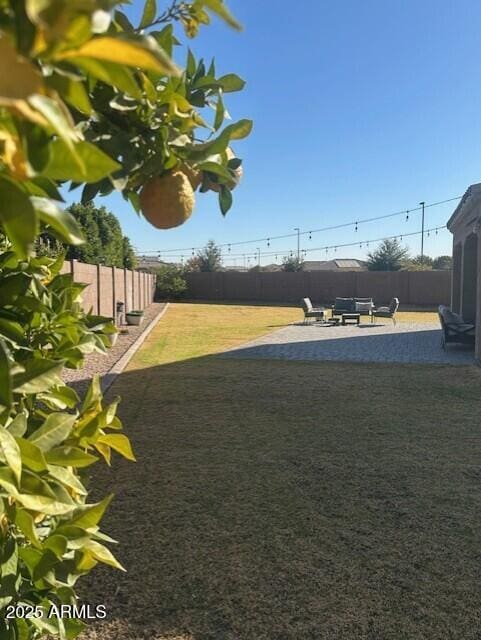 view of yard featuring a patio