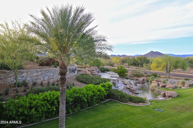 view of yard with a mountain view