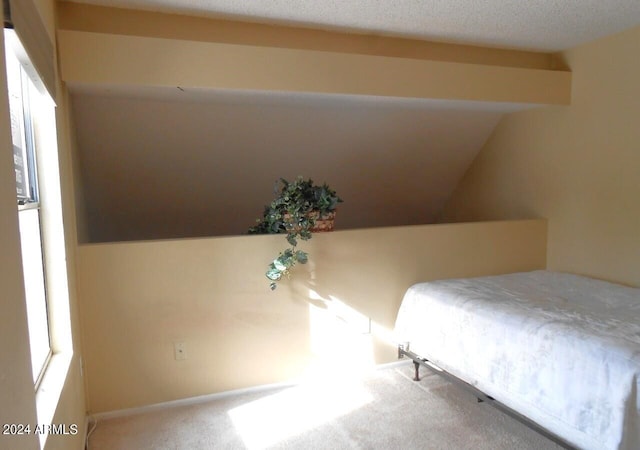 bedroom featuring multiple windows, vaulted ceiling, and carpet