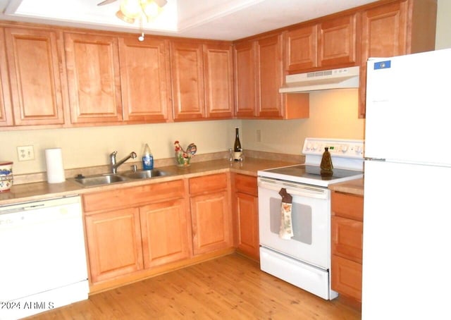 kitchen featuring ceiling fan, sink, white appliances, and light wood-type flooring