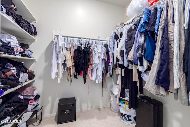 spacious closet with carpet