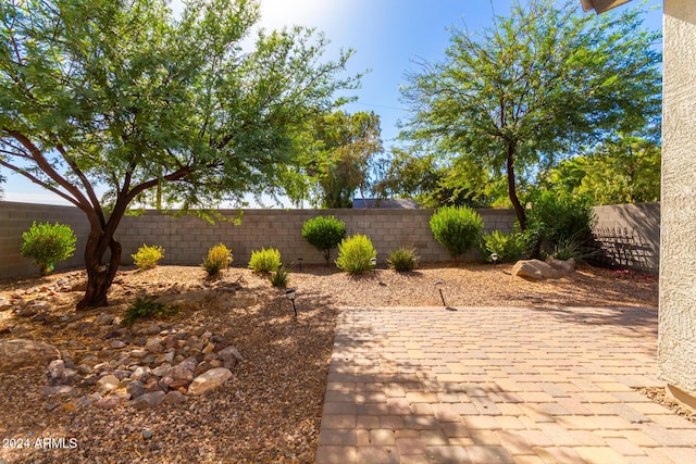 view of yard with a patio area