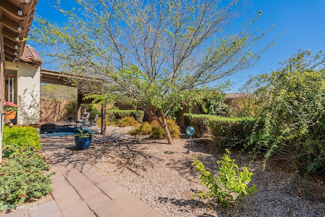 view of yard with a patio