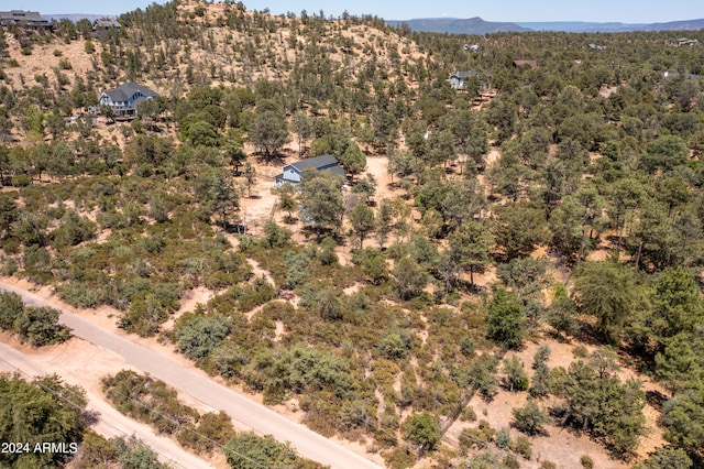 aerial view with a mountain view