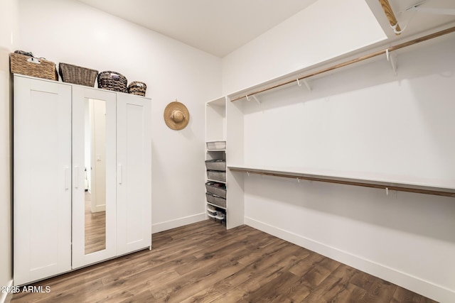 spacious closet with wood finished floors