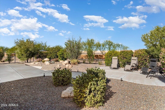 view of yard with a patio area