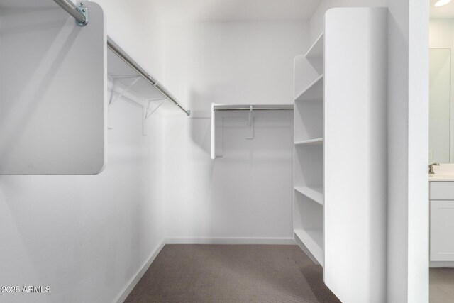 1523 S 223rd Dr, Buckeye, AZ 85326 - walk in closet with carpet flooring and a sink