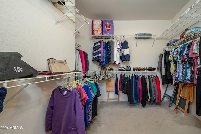 view of walk in closet