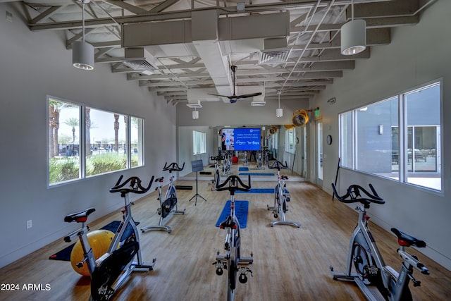 workout area featuring hardwood / wood-style flooring