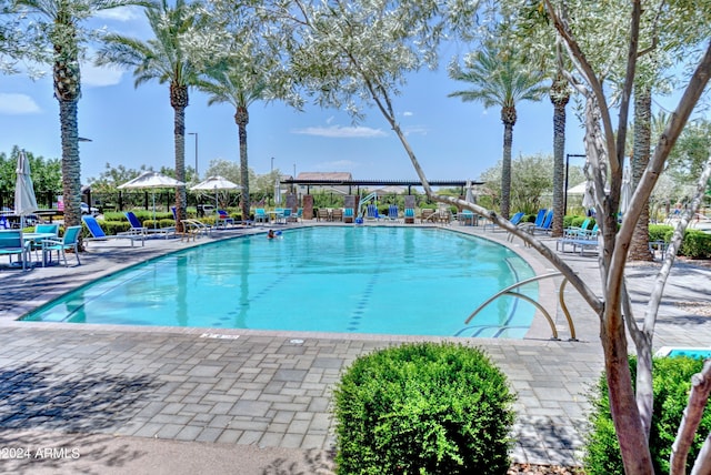 view of pool with a patio