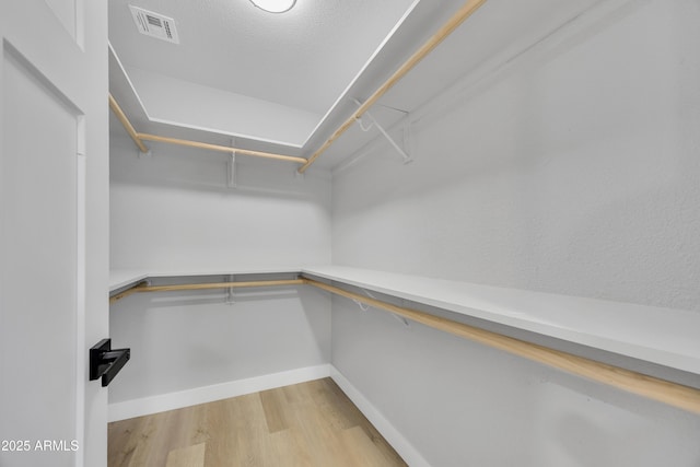 spacious closet featuring light hardwood / wood-style floors