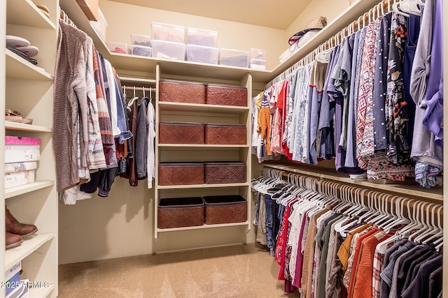 spacious closet with light carpet