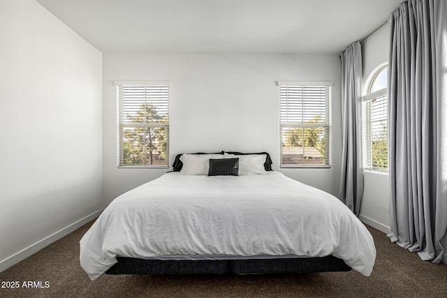 4077 S Sabrina Dr Unit 14, Chandler, AZ 85248 - bedroom with dark carpet, baseboards, and multiple windows