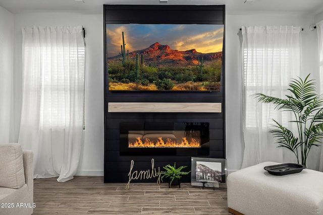 4077 S Sabrina Dr Unit 14, Chandler, AZ 85248 - details featuring wood finished floors and a fireplace