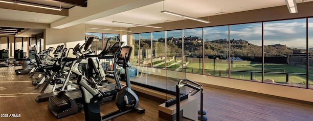 exercise room featuring dark hardwood / wood-style flooring