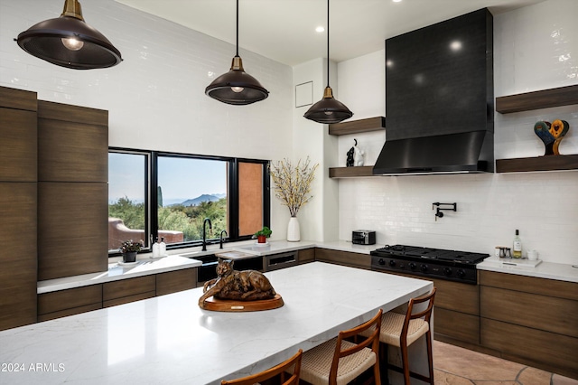 kitchen featuring range hood, light stone countertops, tasteful backsplash, and sink