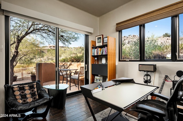 office area featuring a wealth of natural light and dark wood-type flooring