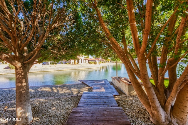 dock area with a water view