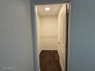 spacious closet with dark hardwood / wood-style flooring