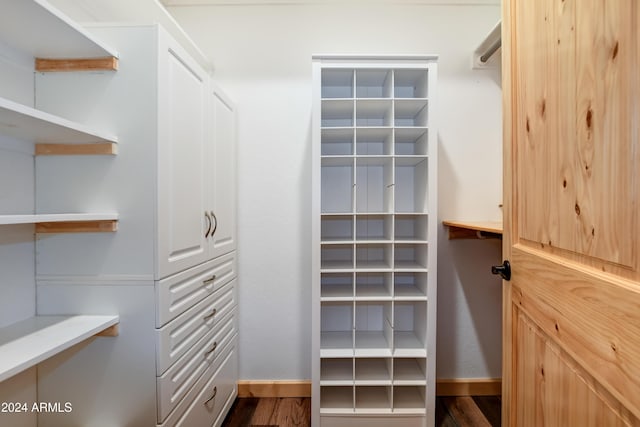 spacious closet with dark hardwood / wood-style floors