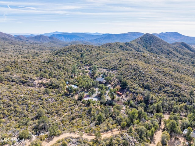 view of mountain feature