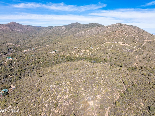 view of mountain feature