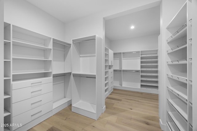 spacious closet with light wood-type flooring