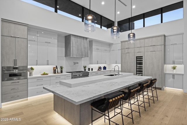 kitchen featuring light wood-style flooring, modern cabinets, stainless steel appliances, and a sink