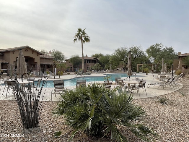 view of swimming pool with a patio