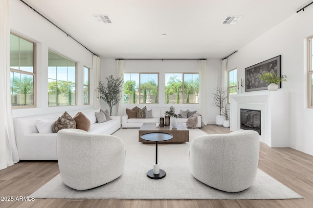 1248 E Jude Ln, Gilbert, AZ 85298 - living room featuring plenty of natural light, a glass covered fireplace, and wood finished floors