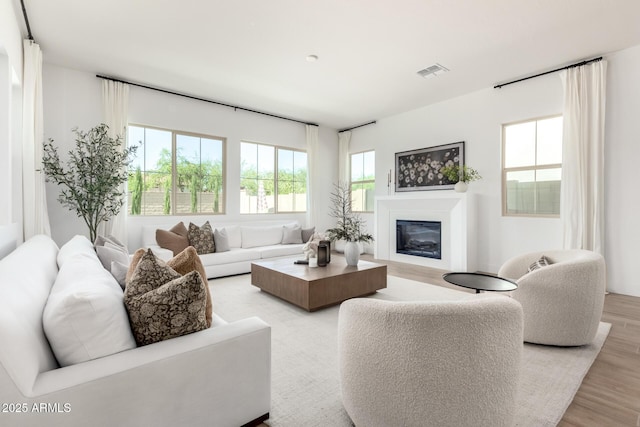 1248 E Jude Ln, Gilbert, AZ 85298 - living room featuring wood finished floors and a glass covered fireplace