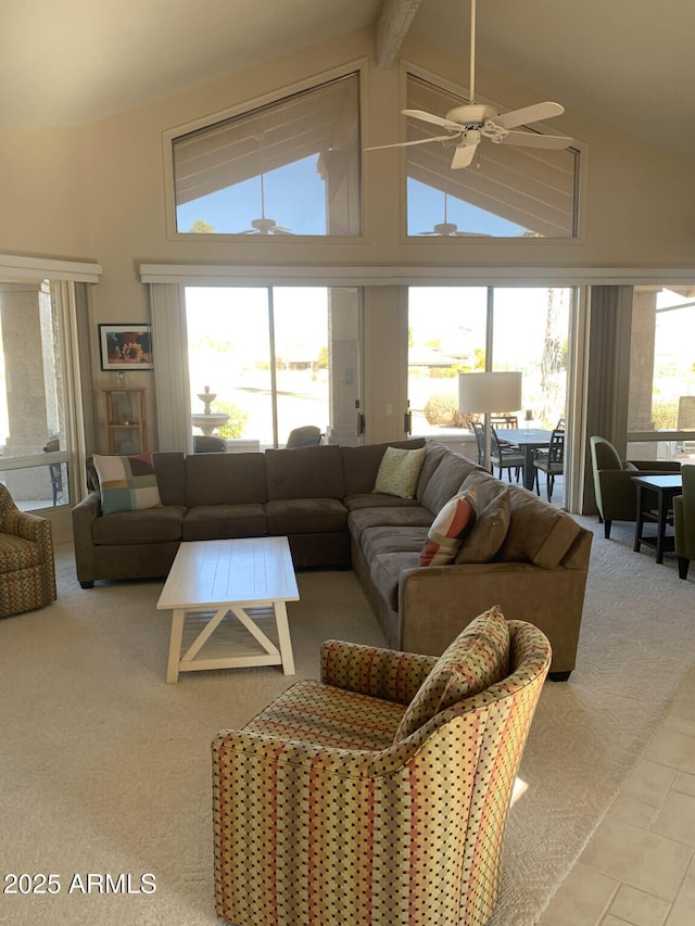 living room with ceiling fan, high vaulted ceiling, beamed ceiling, and carpet flooring