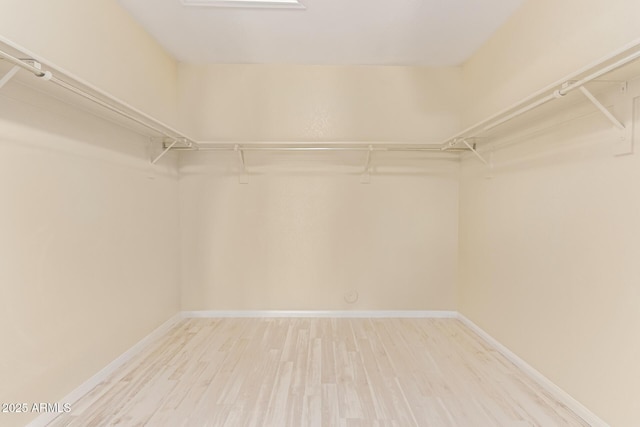 walk in closet with light wood finished floors