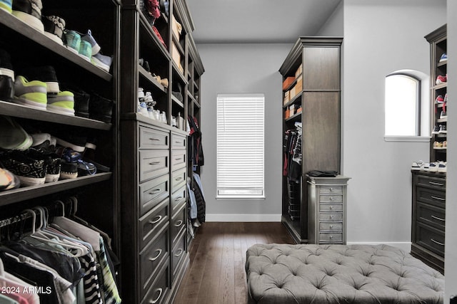 walk in closet with dark hardwood / wood-style flooring