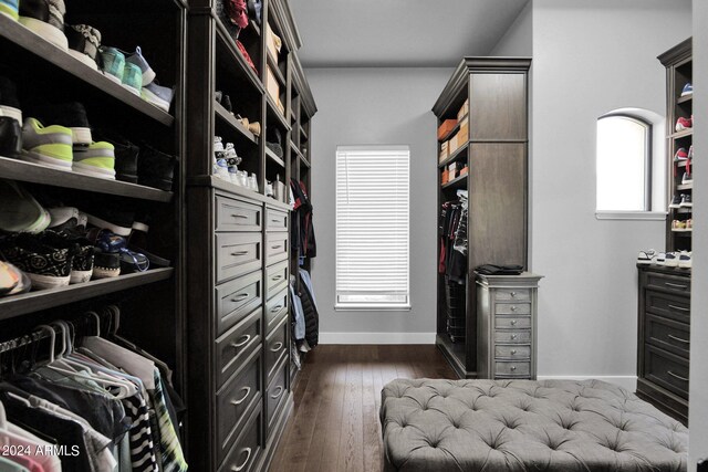 3749 E Juniper Cir, Mesa, AZ 85205 - spacious closet featuring dark wood-type flooring