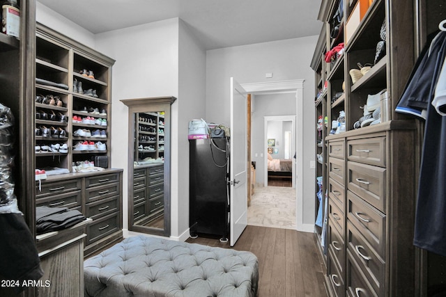 walk in closet featuring wood-type flooring