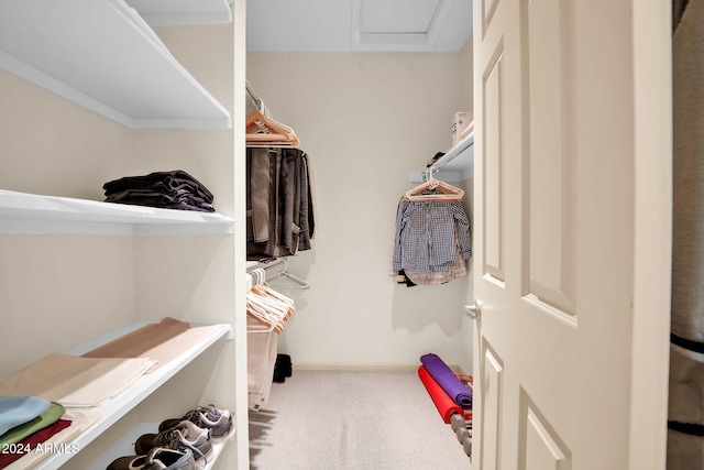 spacious closet featuring carpet