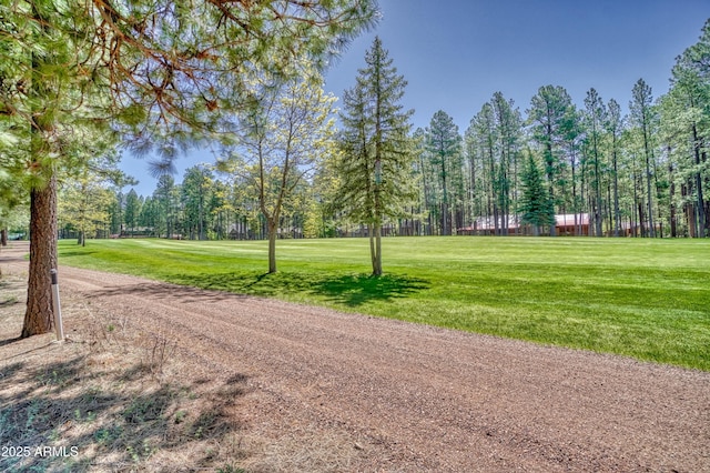 view of home's community with a yard