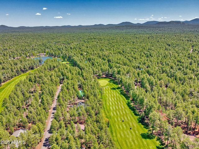 bird's eye view with a mountain view and a wooded view