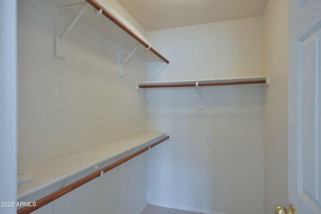 view of walk in closet