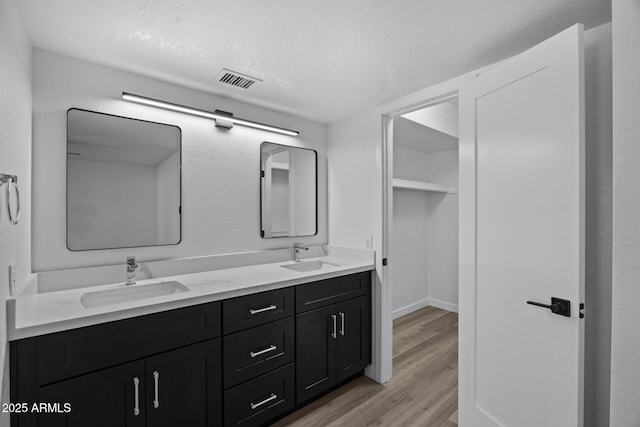 bathroom with wood-type flooring and vanity