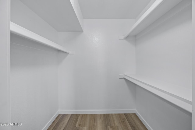 walk in closet featuring wood-type flooring