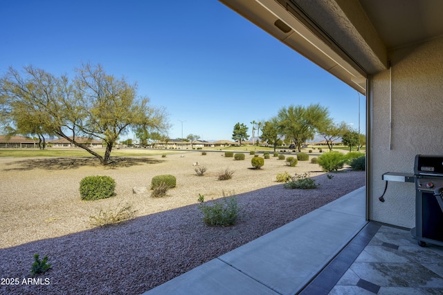 view of yard with a patio area