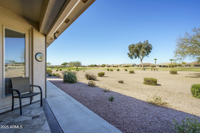 view of yard featuring a patio area