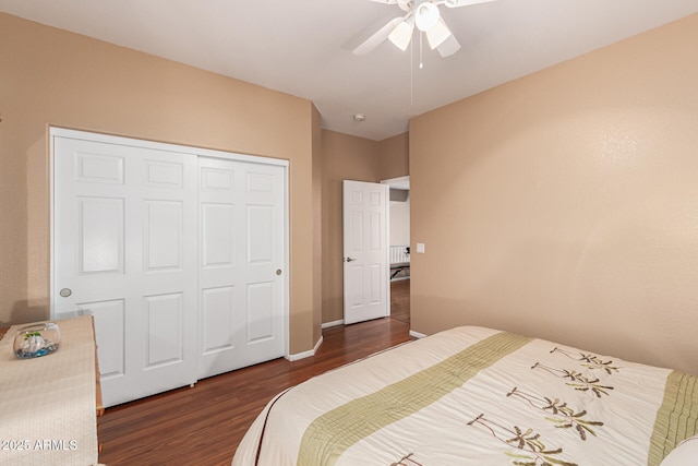 bedroom with dark wood-type flooring, ceiling fan, and a closet