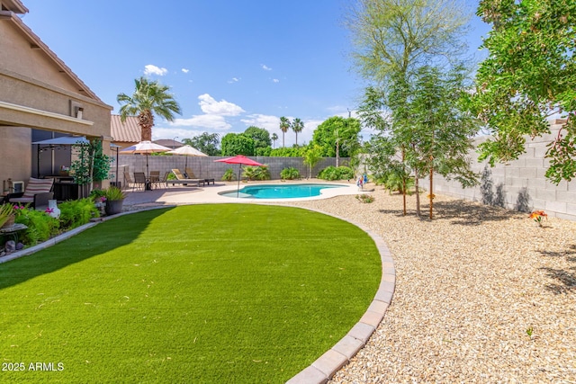 view of pool with a patio area and a yard