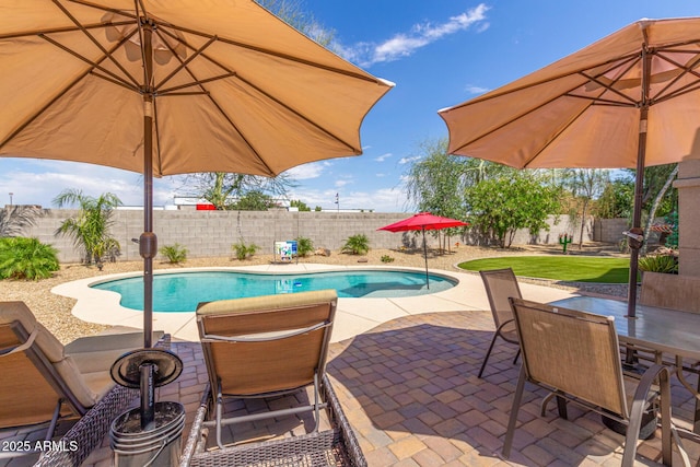 view of swimming pool with a patio area