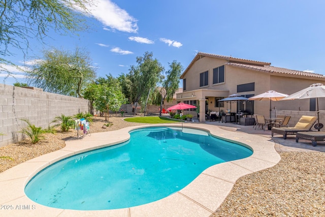 view of pool with a patio